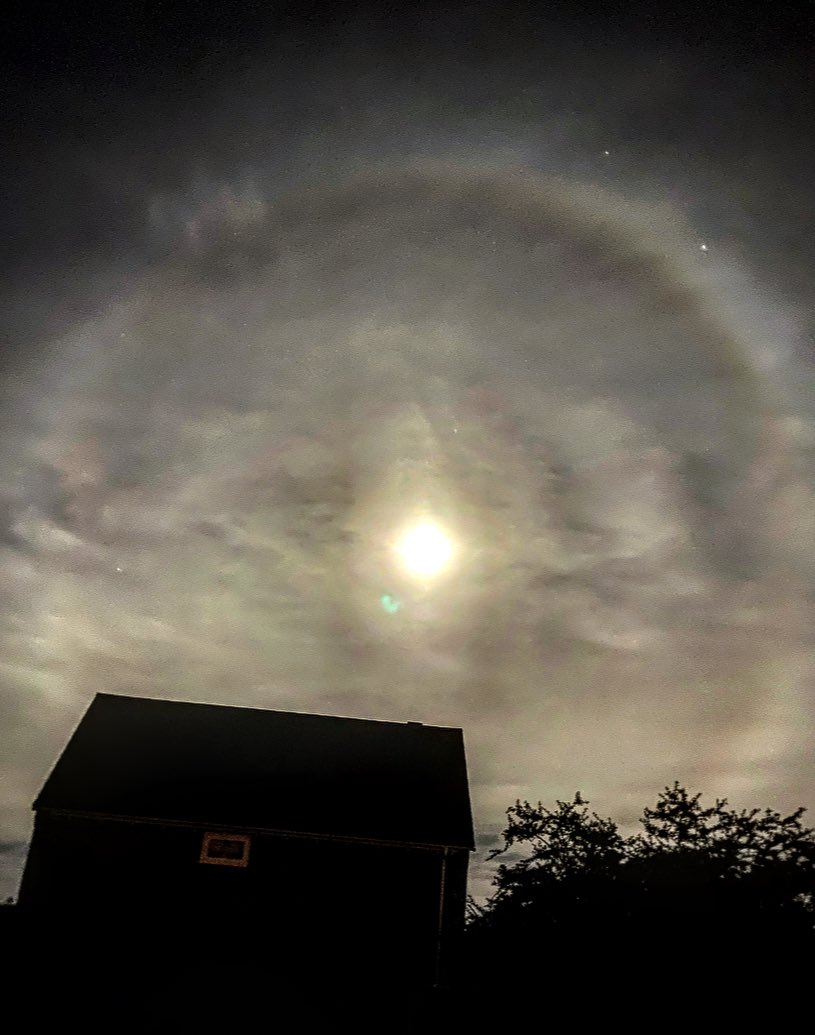 shiner_sam tweet media