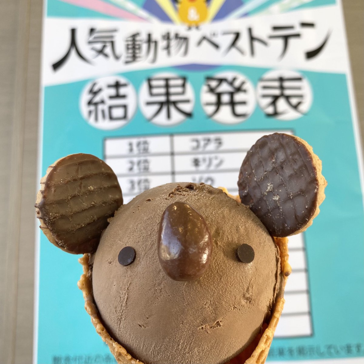ミラノスタイル 東山動物園店 東山動物園 の 人気動物ベストテン 今回は コアラ が 第1位 コアラアイス くんも 思わずニッコリ 東山動植物園 東山公園 東山スイーツ 東山グルメ 東山カフェ 動物好き ランキング 人気 人気者 キャラ