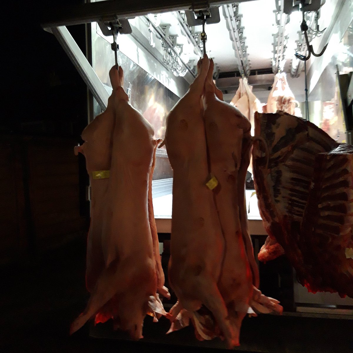 Reloading the fridge this morning #butcher #beef #pork #localmeat #localfarmer #meat #carnivorediet #Otley #Ilkley #Wetherby #Rawdon #Knaresborough #Bramhope #Yorkshire #Leeds #Bradford #Menston #Pool #Guiseley #Yeadon #Adel #Addingham https://t.co/CHXAZ2zVYq