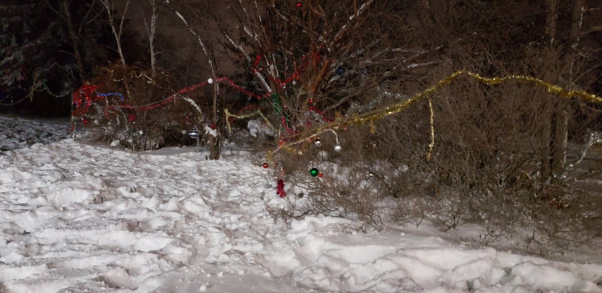 2nd North Battleford tweet media