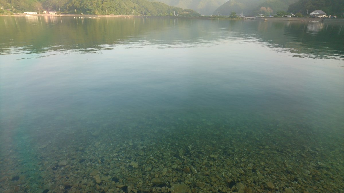猪丸 ししまる 釣り大好き勢 つぶやけてなかった8月の写真 高知県須崎市の野見湾のわりかし奥 海が綺麗なところも多い イカダでダンゴ釣りする人が多いのも納得のチヌの魚影の濃さ ポッパーで狙ってた人もおったなあ 高知 須崎 野見湾 チヌ