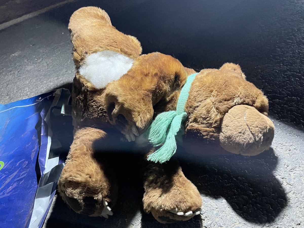 bradjmaddison's tweet image. Passing the baton to @gregjames and the listeners of @BBCR1 to get “Arthur” reunited with his owner for Christmas 🎄24 days to get him home #bearhomeforchristmas #M4Teddy