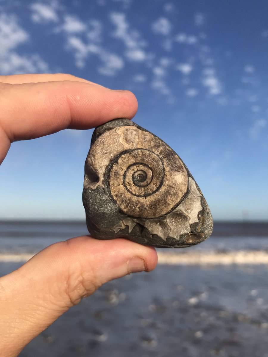 PoetDeanwilson6's tweet photo. Pebble Of The Day #500
#Withernsea https://t.co/VLVpimAZsv