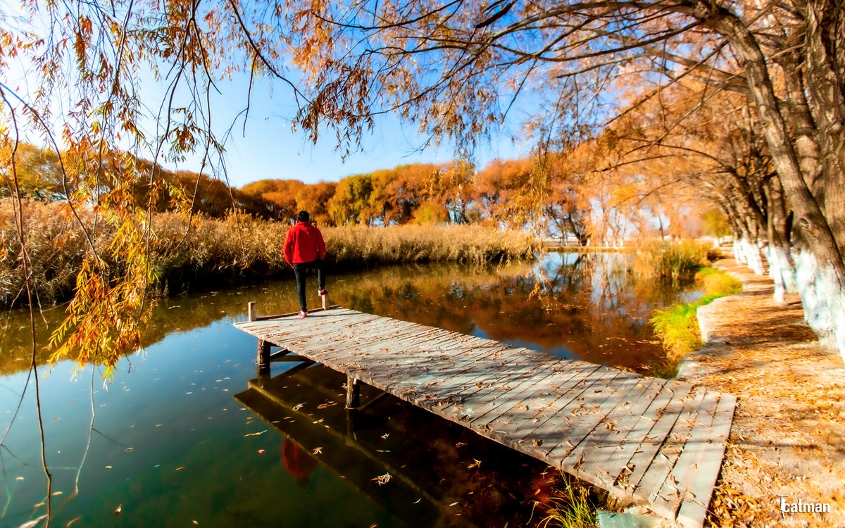 SONbahar🍂
Durgun havuzları işlesin bırak
Yaprakların güneş ve ölüm rengi,
Sen kalbini dinle, ufkuna bak.
✏️A.Tanpınar

#NiğdeFotoSafari #SONsonbahar #SonDemler #Autumn #1Aralık2020 #KarGeliyor
<a href="/kadirrdede/">Kadir Dede</a>