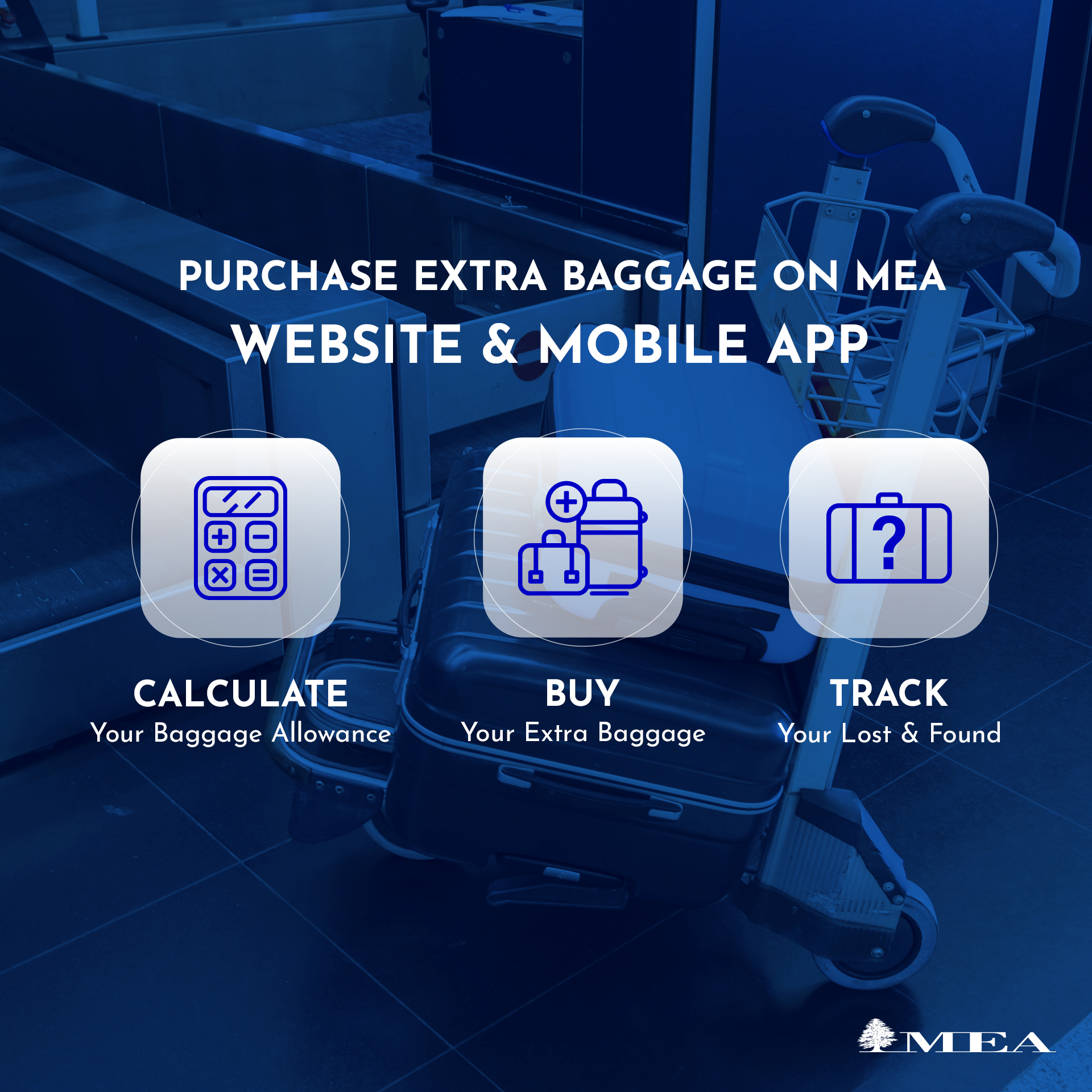 Mea lost baggage hotsell