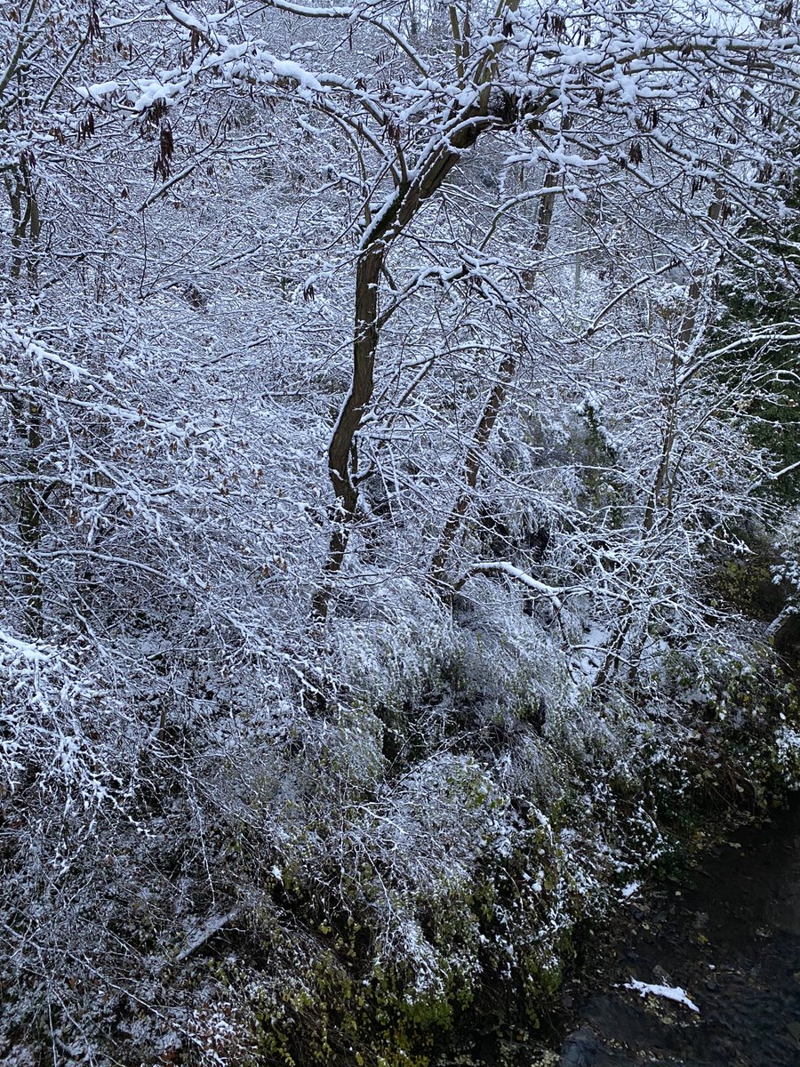 seyffardt's tweet photo. Der erste Schnee https://t.co/nui4LXtO2c