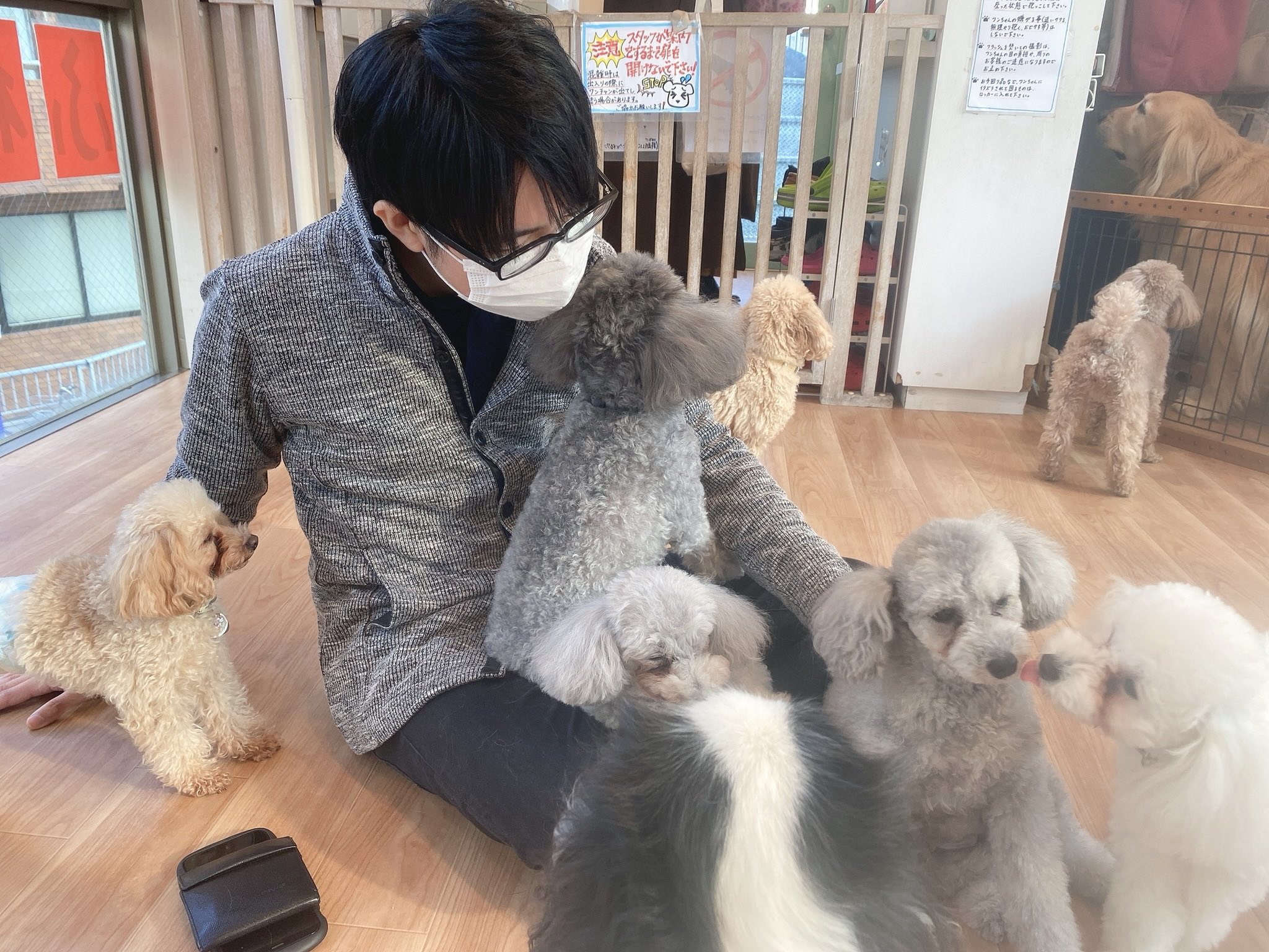 Dogheartfromアクアマリン Twitter Search Twitter