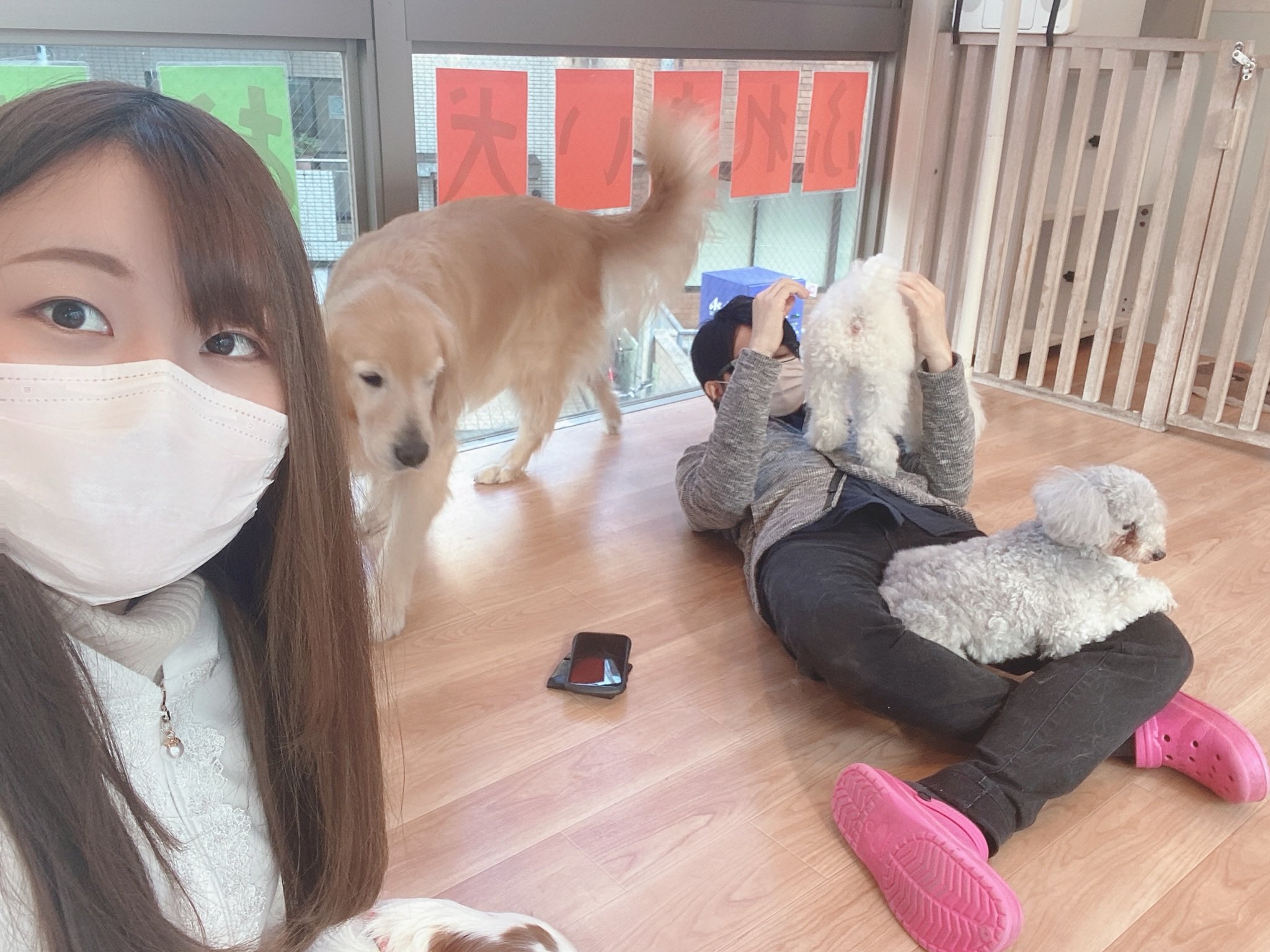 Dogheartfromアクアマリン Twitter Search Twitter