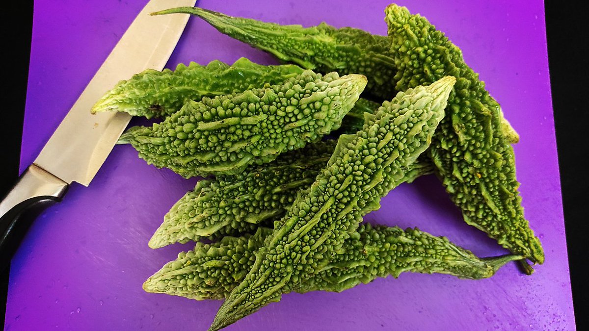 AkCheffing's tweet photo. Karela Recipe| New Technique| How to get rid of the bitter taste

Recipe Video Link: https://t.co/JJBP6Cy6Vy

#karela #healthy #cheffingwithak #tuesdaymotivations #healthcare #foodie #PicOfTheDay #home #Recipe #recipes #YouTuber #SupportSmallStreamers https://t.co/TtVLDkgUgH