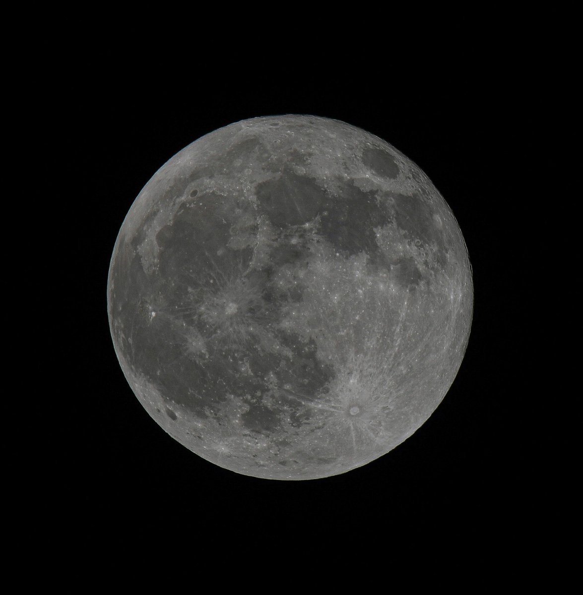 PhilBeer83's tweet photo. Last nights full βBeaverβ #moon #moonpics #moonpicsofinstagram #moonphases #moonlight #moonlovers #moon @VirtualAstro https://t.co/G9r1yPxZzM