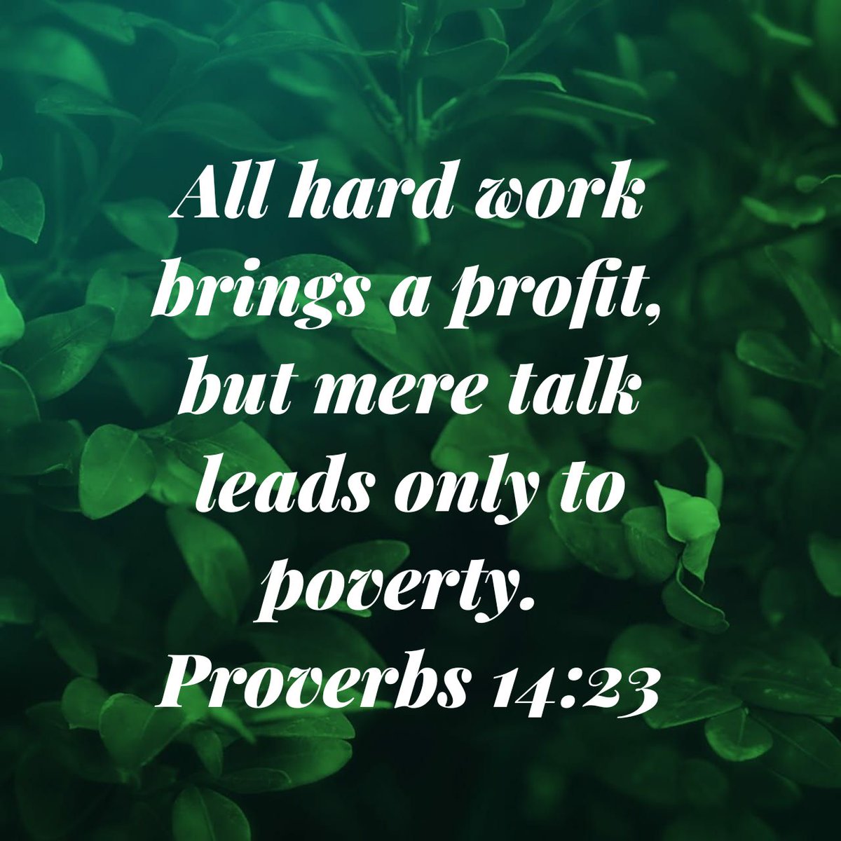 Freshdoses's tweet image. All hard work brings a profit, but mere talk leads only to poverty.
Proverbs 14:23 NIV

proverbs.bible/proverbs-14-23