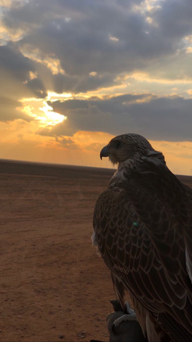 bhh6161's tweet photo. #صباح_السعاده 
 #الاجواء_الجميله
#طقوس_الشتاء https://t.co/REI1KGIcKW