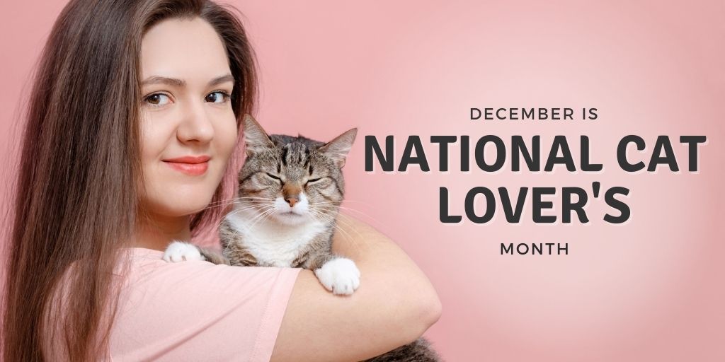 It's the cat lovers' month! 🐱🐾🐈
#catlovers #nationalcatloversmonth #furparents #catowners
