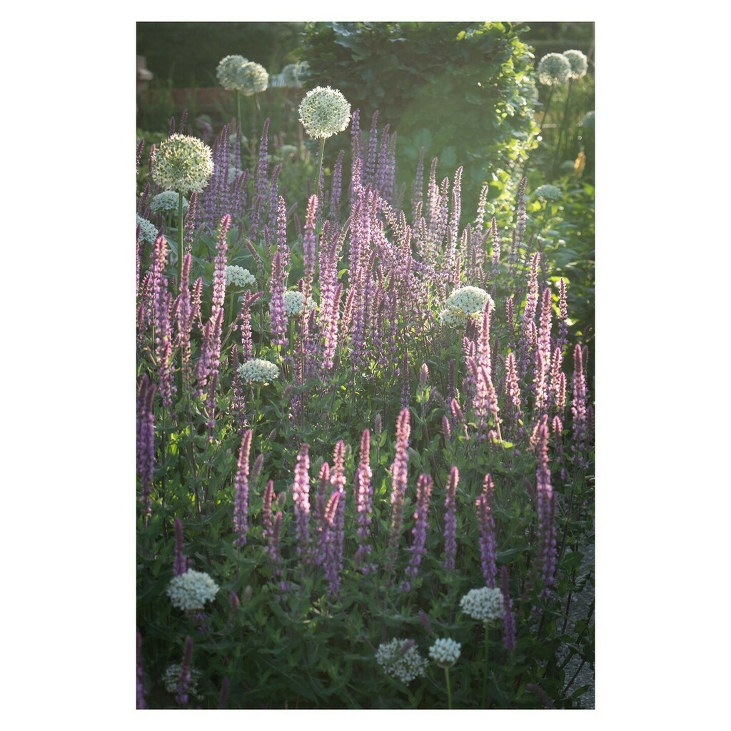 December is the month of magic and sparkle and we’ve been looking through the archives for some of our most twinkly photos for festive mood. Here’s one of our projects back in May. ⠀
.⠀
.⠀
.⠀
.⠀
.⠀
#december #gardenmagic #gardenenchantment #festi… instagr.am/p/CIPve6tsxU8/