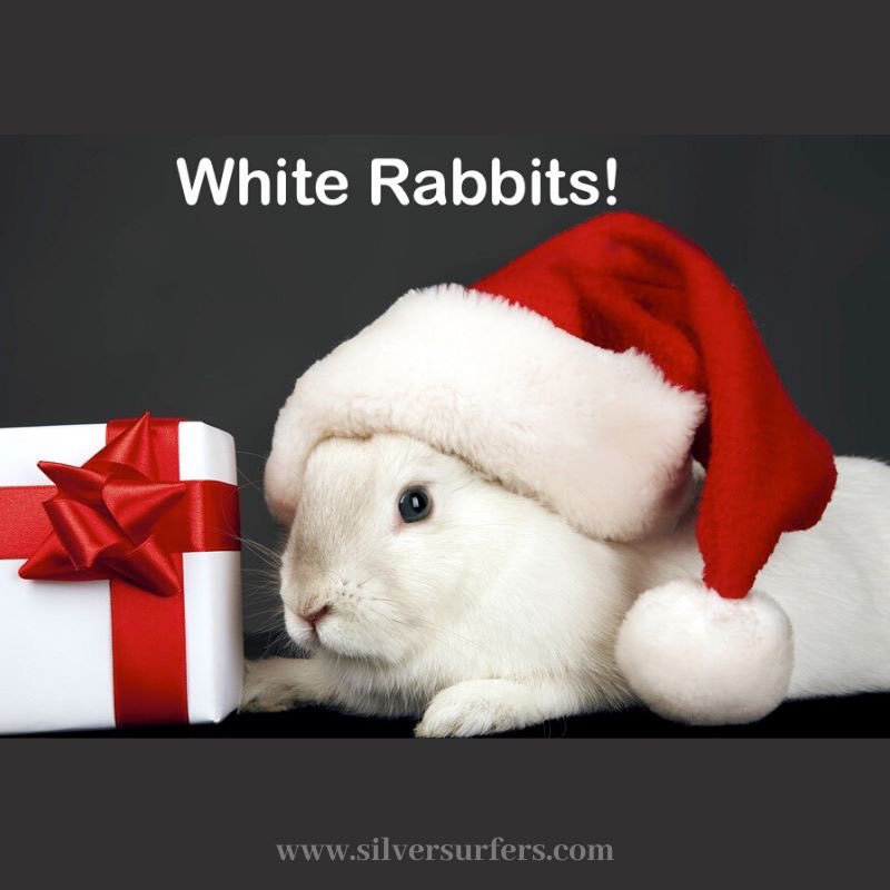 White Rabbits! To all our Silversurfers who say this on the first day of each and every month 🐰🐰🐰

#whiterabbits #1stdayofthemonth #over50 #over50andfabulous #silversurfers50