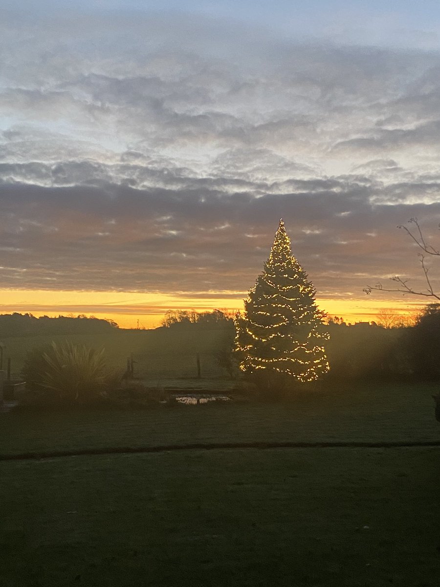 David Blacklock tweet media