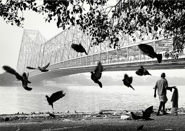 muztaba248's tweet photo. "A beautiful afternoon!"
.
@500px #Kolkata @TOIKolkotha #blackandwhite #incredibleindia #birds #streetphotography @Calcutta_Times #instagram #natgeo #travel #photography #bnw_india @Ei_Samay @AP_Magazine @BWPMag @MyAnandaBazar @AwesomeEarthPix @MagnumPhotos @Fujifilm_India https://t.co/AjilCz8DOb