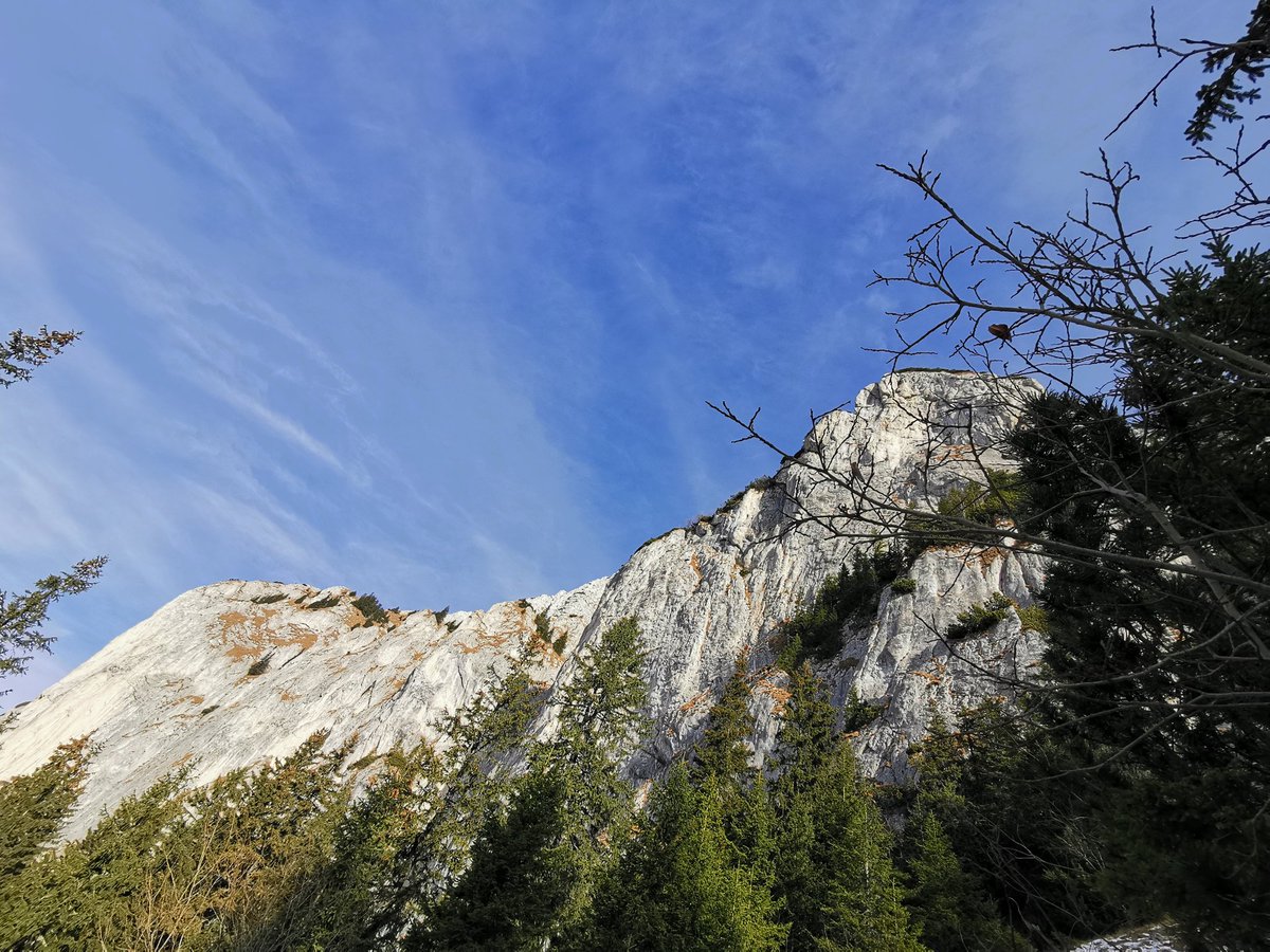 BrielleMade's tweet photo. 🏔️Hello #FlashbackFridayz and  pictures #WithViews  @ #piatracraiului #Romania

Thank you @TravelBugsWorld @Adventuringgal @jenny_travels @happytrailshike @ExploreFamily @jasontravelblog @AOAOxymoron https://t.co/clXutFiRhu