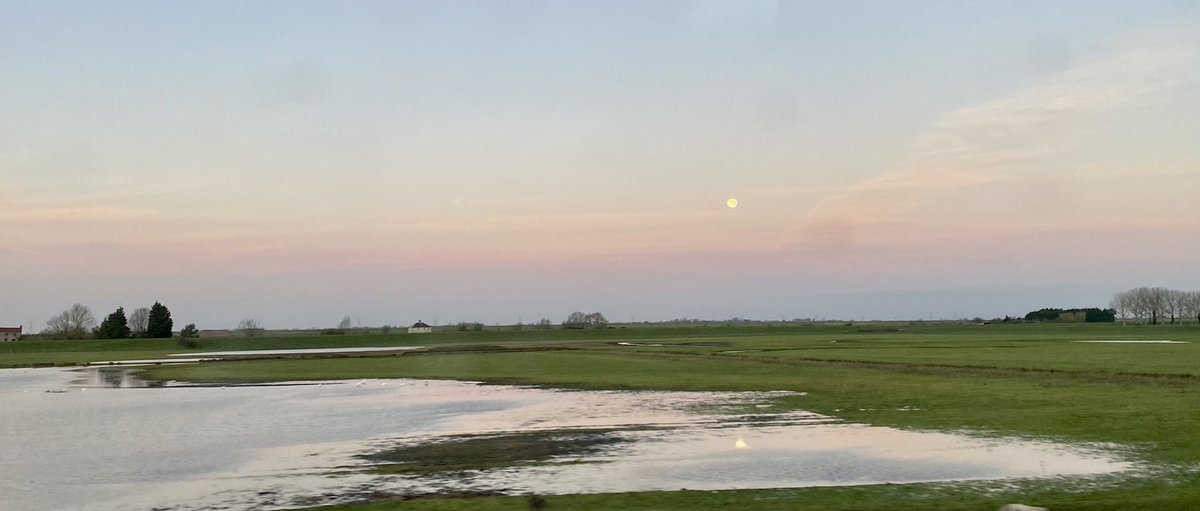 GaryC_NHS's tweet photo. Moon reflected in the flooded fields on the way to work this morning. Lovely way to start another day at QEHKL. @TeamQEH @CShawQEH https://t.co/vvJMhnISqF