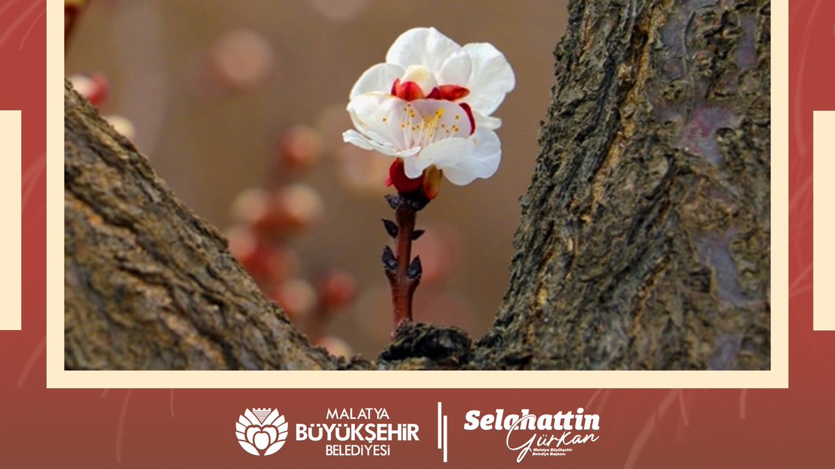 Selahattin Gürkan