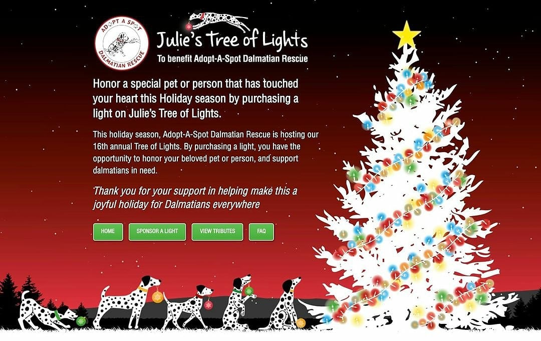 Jeannie Power, CMP tweet media