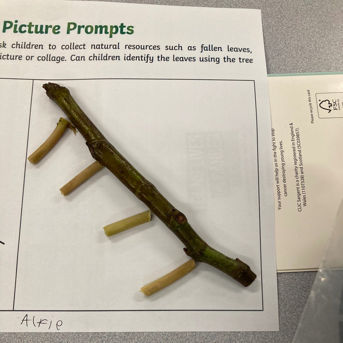 misswalshsjv's tweet photo. Class 4 enjoyed collecting natural materials to create some wild art yesterday as part of our enrichment curriculum! #outdoorlearning #lifelonglearning #purplehub #witness @StJohnVianneySc https://t.co/TBEVTsmCFk