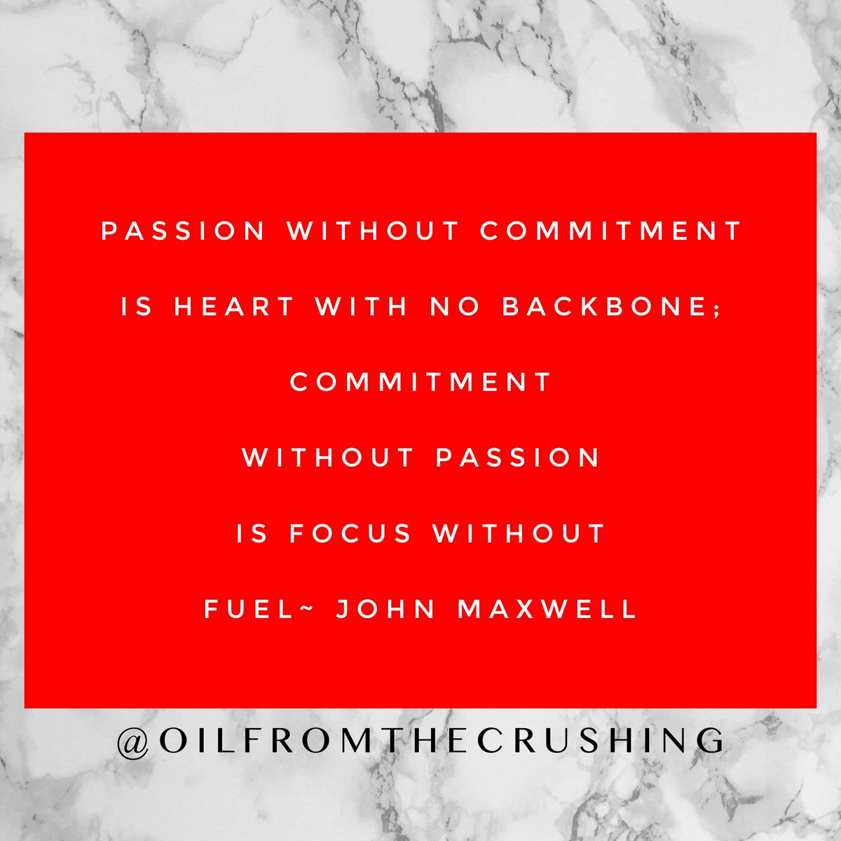 NitishaMoore's tweet image. Passionate commitment is the foundation of every great leader.