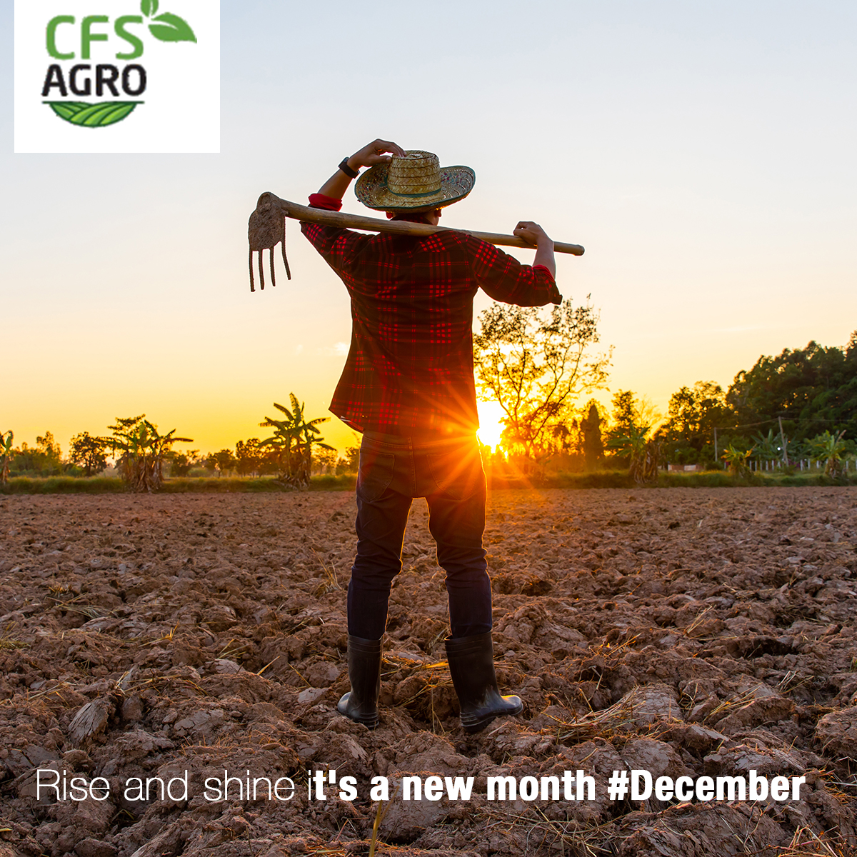CfsZw's tweet photo. Rise and shine its a new month #December 
Here are two things to look out for 
1.Sesame seed farming 
2.Opportunity for young people in agriculture https://t.co/c3nVBVyUWO
