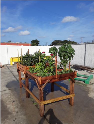 SchutteBuffalo's tweet photo. Congratulations to our Bengal Machine garden contest winners!! 

Schutte Hammermill for Zucchini
CM Shredder for sunflowers, basil, zinnia and the best looking raised bed
CSE Bliss Manufacturing for tomatoes and best looking cornucopia https://t.co/Cp53N7EgOZ