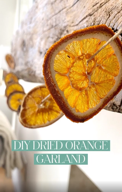 Peace With The Wild tweet media