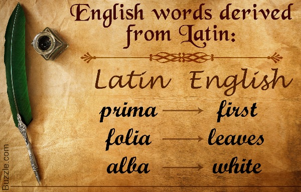 Древнеанглийский язык пример текста. Old use words. Old use words. Old english words examples. Old use words.