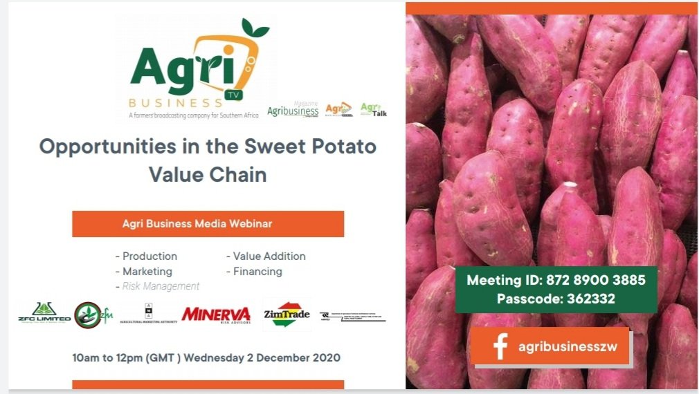 Opportunities in the sweetpotato value chain
Free webinar

2 December 2020 10am to 12pm GMT