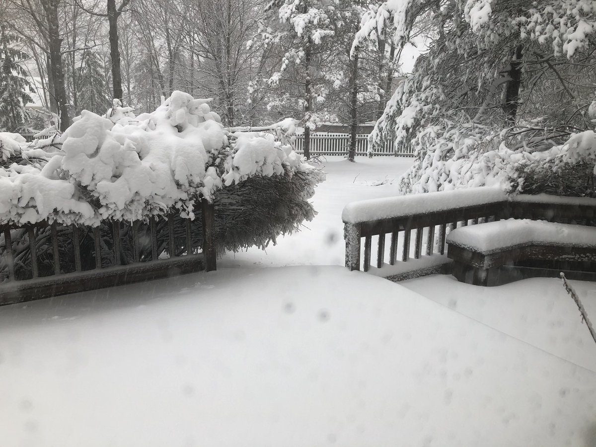 HarkenPatty's tweet photo. Plenty of snow and heavy trees this morning in Westlake @ScottSabolFOX8 https://t.co/eiNE6AMrS1