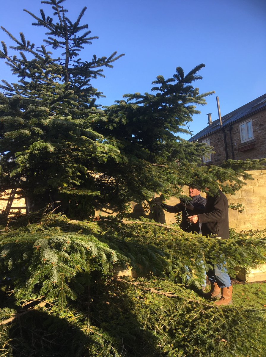 DronfieldBarn's tweet photo. We are starting to feel Christmassy at the Barn! 🙂 Despite not being able to open at the moment, we are determined the Barn will look festive along with the rest of the town! A huge thank you to all our volunteers for your efforts this morning! https://t.co/4BZMcfE0tr
