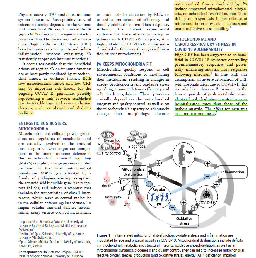 ASedeaud's tweet photo. Physical Activity as a protective factor in #COVID19 

Low cardiorespiratory and mitochondrial fitness as risk factors in viral infections: implications for #COVIDー19  by @JohBurtscher  and @GregoireMillet1 in @BJSM_BMJ

https://t.co/BApYPqQPc9 https://t.co/ayttydjQUq