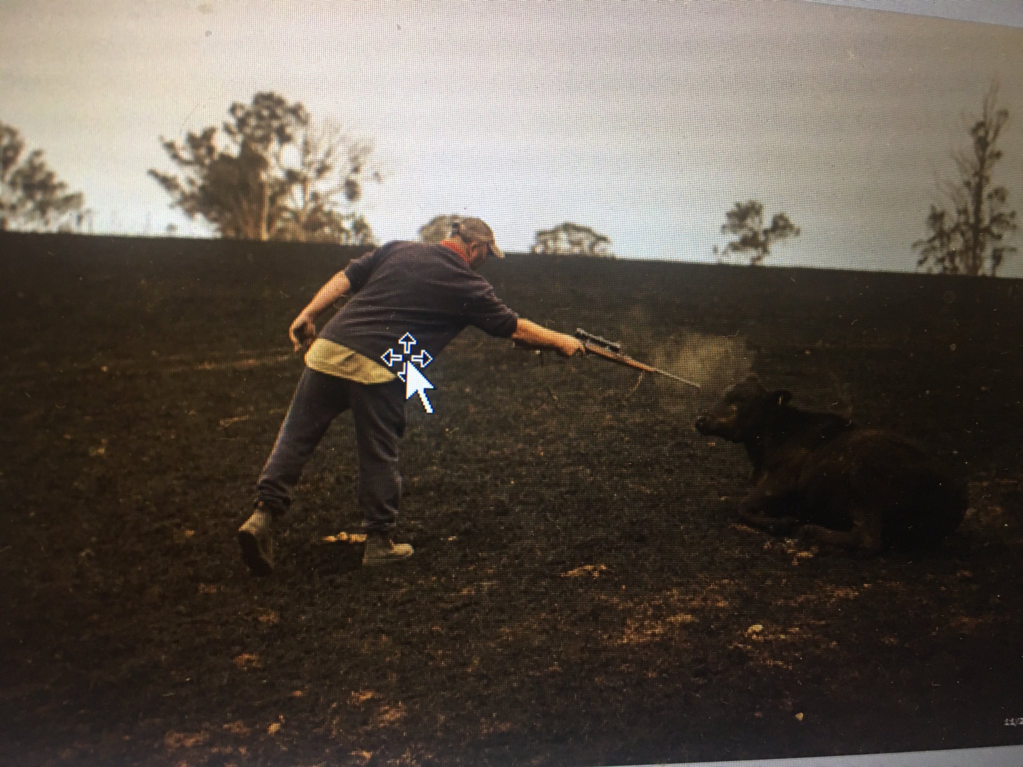 lucy barbour (lucybarbour) / Twitter