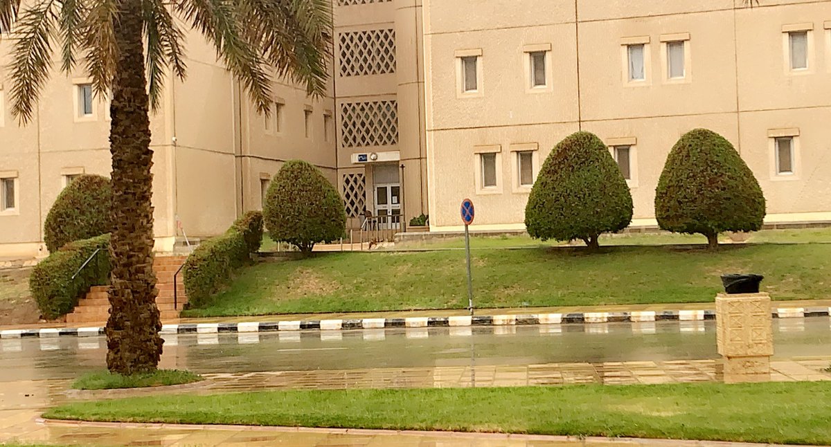 m_housingksu's tweet photo. مطرنا بفضل الله ورحمته

#جامعة_الملك_سعود @_KSU 
#صباح_السعاده 
#امطار_الخير_على_السعوديه https://t.co/QBFyj0zWcC
