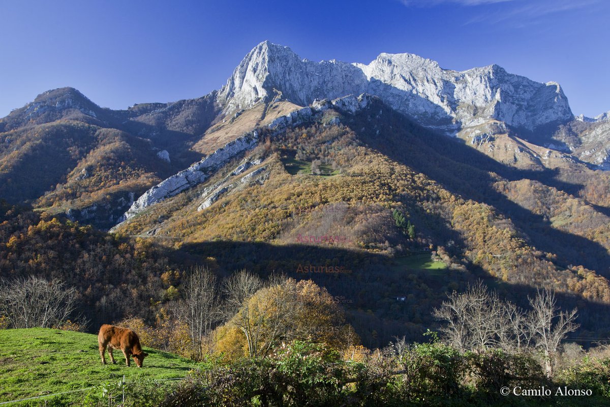 asturiasdecerca's tweet photo. Vistas del pico Tiatordos desde el #ParqueNaturaldePonga #Asturiasdecerca #AsturiasParaisoNatural https://t.co/IrvixgwfXJ