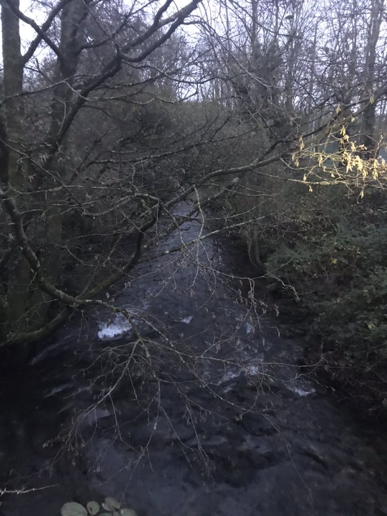 Shirleyatsyspro's tweet image. We are doing a sponsored walk with Santa and his reindeer’s to raise € for #charity #TeamDancer is on the move @imr