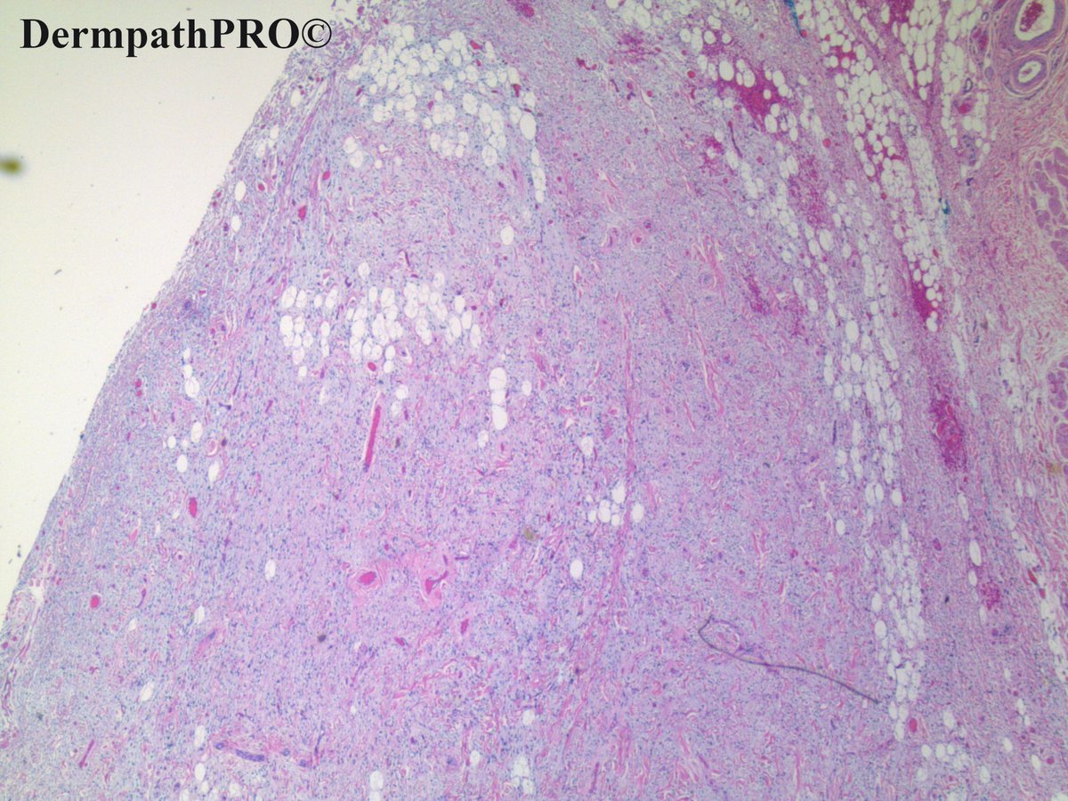 DermpathPRO tweet media