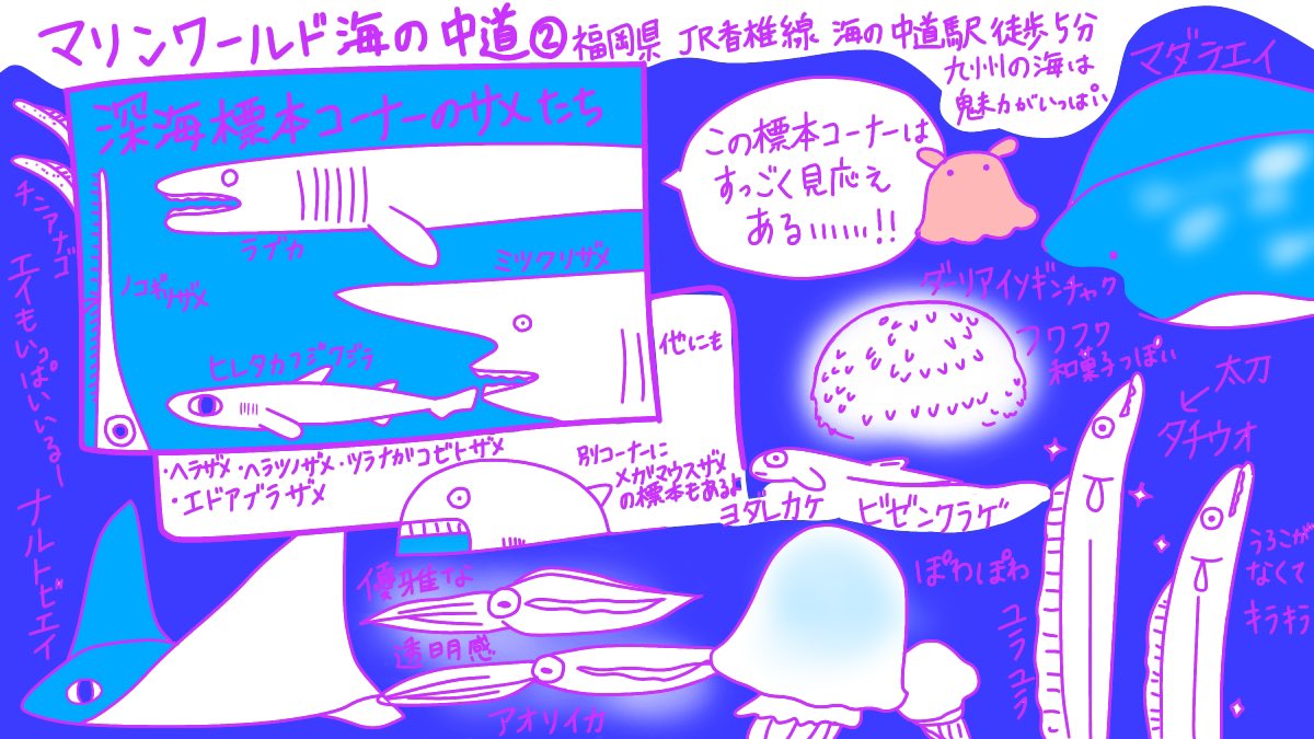 けいこっとん ゆるサメイラスト V Twitter マリンワールド海の中道のイラストその サメ以外の生き物たち といいつつ サメもいる エイもいっぱい アオリイカもタチウオもいっぱい 九州の海の魅力全開で とっても見応えがありました いつかまた行きたい けいこっとん ゆるサメイラスト V Twitter マリンワールド海の中道のイラストその サメ以外の生き物たち といいつつ サメもいる エイもいっぱい アオリイカもタチウオもいっぱい 九州の海の魅力全開で とっても見応えがありました いつかまた行きたい