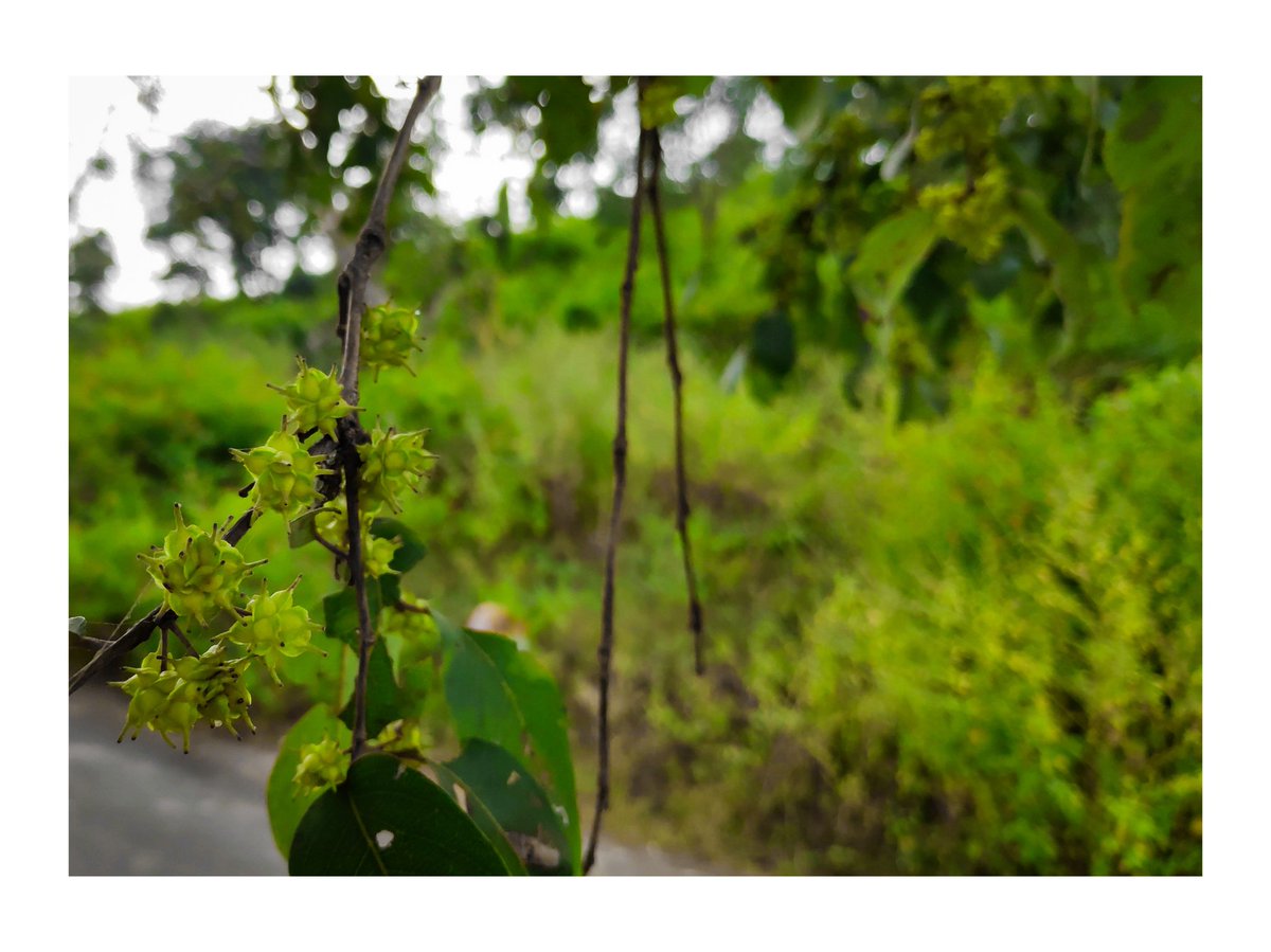 Ankit Gade tweet media