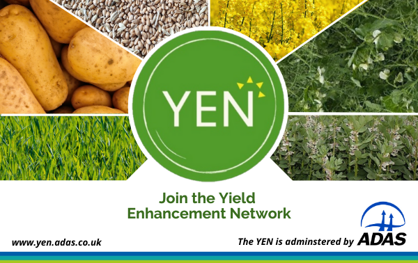 adasYEN's tweet photo. Feeling inspired following our #YENAwards last week? Entry is open now for our Cereal, Oilseed, #Bean, #Pea, Grass and #Potato Yield Enhancement Networks for 2021. Take a look https://t.co/Yo8lVY36uJ https://t.co/MtTp9AS2FO