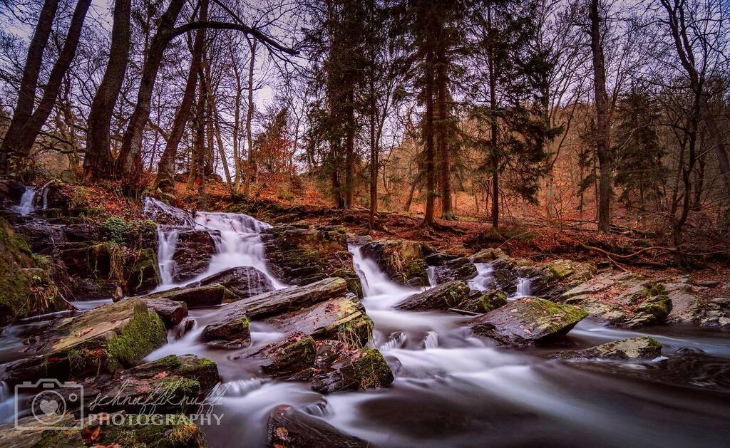 SchnuffiKnuffi's tweet photo. Wer zur Quelle gelangen will, muss gegen den Strom schwimmen.
#selketal #selkefall #wasserfall #waterfall #wandern #wanderweg #harz #harzmountains #exploreharz #sachsenanhalt #saxonyanhalt #meinsachsenanhalt #nature #naturephotography #landscape #sonya… https://t.co/6a2aJ3XBeh https://t.co/KWyFzfrpvx