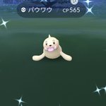 ポケモンgoで 色違いパウワウ が話題に ポケgo トレンディソーシャルゲームス ポケモンgoで 色違いパウワウ が話題に ポケgo トレンディソーシャルゲームス