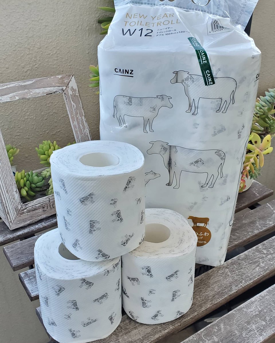 りこ キャンドルアーティスト Cainzで売ってる牛柄のトイレットペーパーが可愛くて モー３つも買っちゃった 来年の干支ってことみたいだけど 通年で売って欲しい でも毎年違うのも年末の楽しみになるか 数ヶ月前は１家族１つまでとかだったの