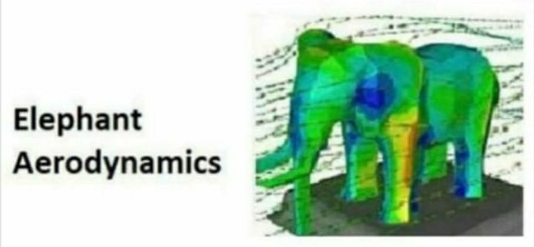 dsche_g's tweet image. 