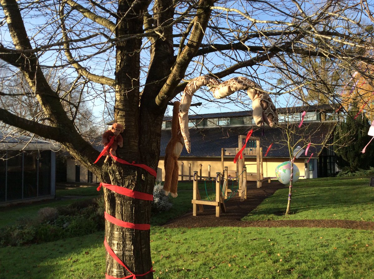 PrepScott's tweet photo. Such an amazing morning for our very first Wycliffe Literature Festival. I can’t wait to try the literature trail, guess the books, visit the story shack and watch the authors talks! @WycliffePrep https://t.co/hJgvnqm144