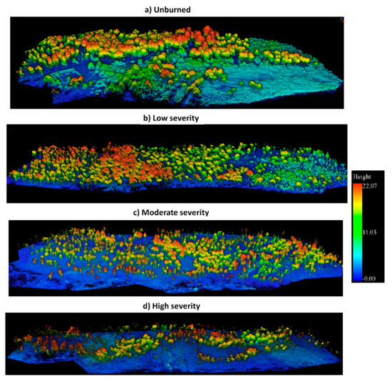 Grafinta's tweet photo. Os compartimos una publicación super interesante sobre el estudio de pinares incendiados realizado con el sensor #lidar @Routescene #LidarPod.🌲🌲🌲🌳🌳por la @uclm_es 
https://t.co/ANTVODDlwS https://t.co/eHE6z0h7rc