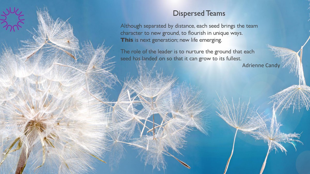 MU Team Brilliance tweet media